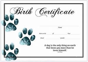 Dog Birth Certificate, Pet Birth Certificate, Puppy Breeding, Puppy Birth Certificate, Breeding Business, Dog Breeding Business, Dog Birth, Boy Puppy, Pet Meds