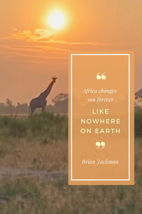 Connect with nature and discover captivating wildlife on an enthralling adventure safari with Brave Africa. It's unlike anything you’ve experienced before. Safari Quotes, Africa Quotes, Africa Hunting, Africa Party, African Quotes, Chobe National Park, Hunting Quotes, Volunteer Travel, Insta Quotes