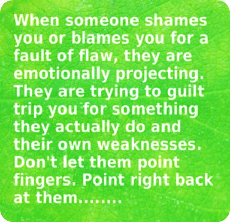 fault finders and finger pointers...always looking for some reason to put you down.... Guilt Tripping, Disrespectful People, Empowered Empath, Witty Sayings, Manipulative People, Guilt Trips, Fallen Angels, Narcissistic Behavior, Negative People