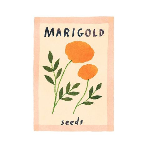 Some seed packets for the @namawell May newsletter about gardening 🌱 | Instagram Seed Packet Illustration, Seed Packet Design, Seed Packet Art, Vintage Seed Packets, Font Ideas, Reunion Ideas, Spring 2025, Class Projects, White Tree