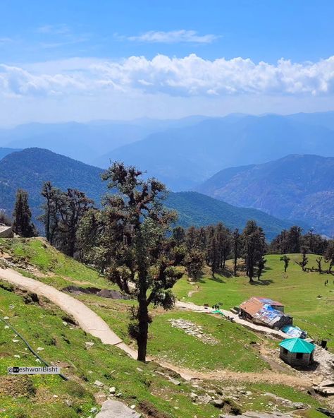 Chopta is a small area of ​​grasslands and evergreen forest area in Rudraprayag district of Uttarakhand state, it is a part of Kedarnath Wildlife Sanctuary and the base for trekking to Tunganath, the third temple of Panch Kedar. Tungnath Temple is located at a walking distance of 3.5 kilometers from Chopta. Chandrashila is situated on a mountain peak at an altitude of 4,000 metres, 1.5 kilometers upstream from Tungnath. From where you can enjoy the beautiful views of the Himalayas. #thegreath... Panch Kedar, Chopta Uttarakhand, Tungnath Temple, Third Temple, Evergreen Forest, Mountain Peak, Wildlife Sanctuary, The Himalayas, Beautiful Views