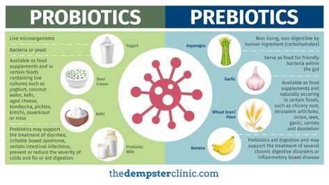 Prebiotics vs Probiotics Prebiotic Foods List, Selenium Rich Foods, Prebiotic Foods, Prebiotics And Probiotics, Chicory Root, Probiotic Foods, Backyard Chickens, Food Culture, Kefir