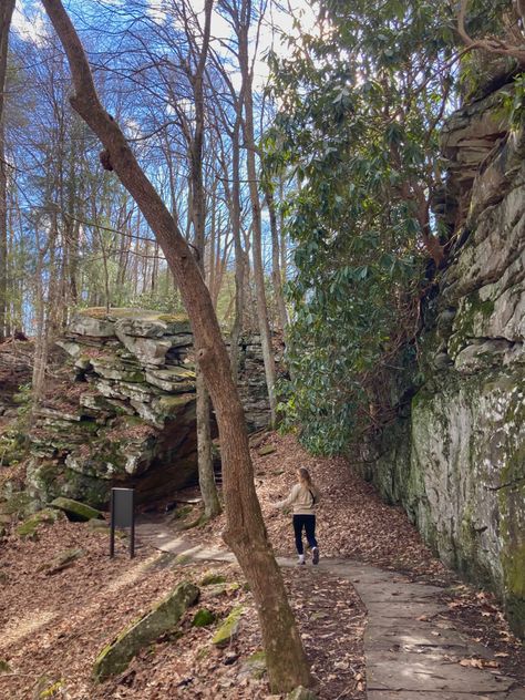 Virginia Summer Aesthetic, West Virginia Aesthetic, Virginia Hikes, West Virginia Travel, Life On Virginia Street, Virginia Travel, Country Roads Take Me Home, Best Duos, Take Me Home