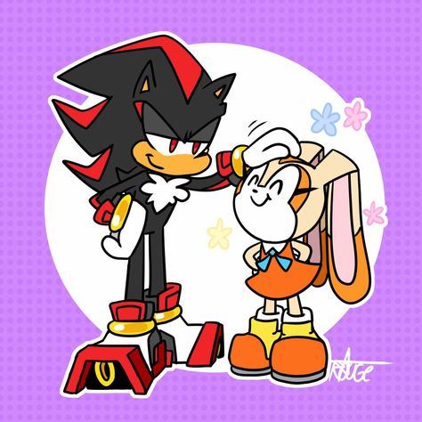 Cream The Rabbit Fanart, Sonic Idw Comics, Cream Sonic, Sonic Aesthetic, Sonic Idw, Sonic And Tails, Idw Comics, Sonic And Amy, Sonic Funny