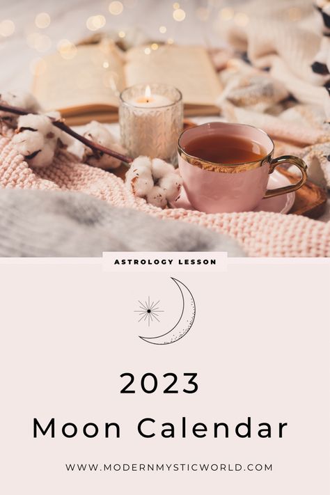 The Moon and its cycles have a massive impact on our everyday lives. Learn how to plan and co-create with the Moon in 2023. Astrology post / New Moon/ Full Moon Full Moon September 2023, August Full Moon 2023, Moons Of 2023, Witchy Activities, New Moon September, Full Moon Taurus, Full Moon Astrology, Super New Moon, New Moon Full Moon