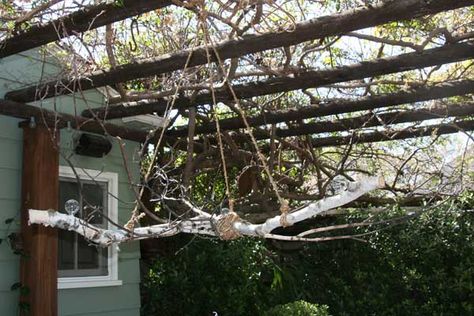 30 Sculptural DIY Tree Branch Chandeliers To Realize In An Unforgettable Setup Diy Tree Branch, Twig Chandelier, Sauna Diy, Pathway Landscaping, Branch Chandelier, Pergola Lighting, Birch Branches, Spring Tablescapes, Diy Tree