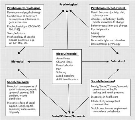 biopsychosocial spiritual assessment - Google Search Biopsychosocial Assessment Social Work, Biopsychosocial Assessment, Psychological Assessment, Biopsychosocial Model, Psychosocial Assessment, Corporate Training Ideas, Health Belief Model, Social Work Theories, Mental Health Assessment