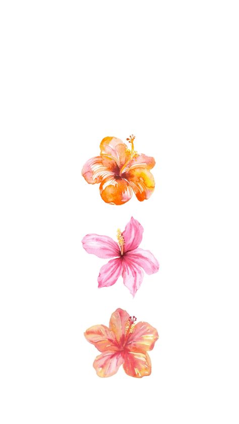 Summer Ios Wallpaper, Cute Flower Wallpapers Aesthetic Pastel, Cute Wallpapers Flowers, Ipad Wallpaper Flowers, Hawaii Flowers Wallpaper, Flowers Home Screen, Summer Ipad Wallpaper, Hibiscus Flower Wallpaper Aesthetic, Hibiscus Flower Wallpaper