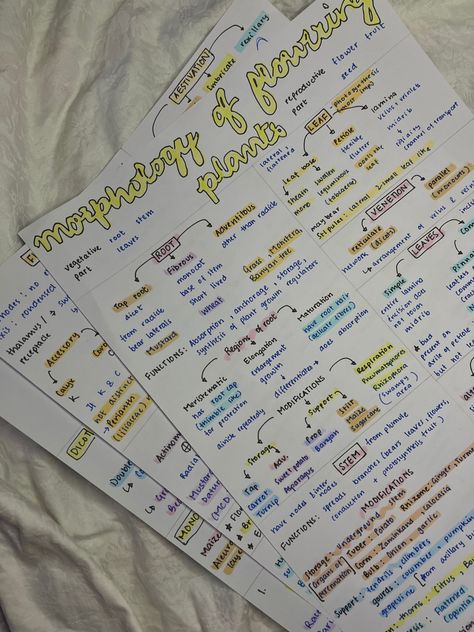 #neet #ncert #botany #class11 Botany Notes Class 11, Botany Notes Aesthetic, Anatomy Of Flowering Plants Notes, Morphology Of Flowering Plants Notes, Ncert Biology Class 11, Morphology Of Flowering Plants, Botany Notes, Botany Study, Biology Class 11