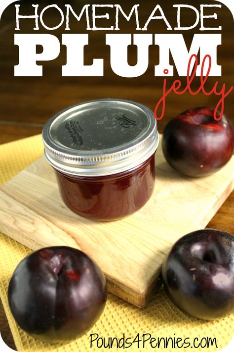 See how easy it is to go from fruit to homemade jelly. Fruit is in season right now. Here is my mom's recipe for perfect jelly every time. Learn how to make homemade jelly for the best tasting jelly you can't buy at the store. Plum Jelly Recipe, Saute Vegetables, Flavored Butters, Jelly Fruit, Easy Canning, Plum Recipes, Canning Jam, Homemade Jelly, Jelly Recipe