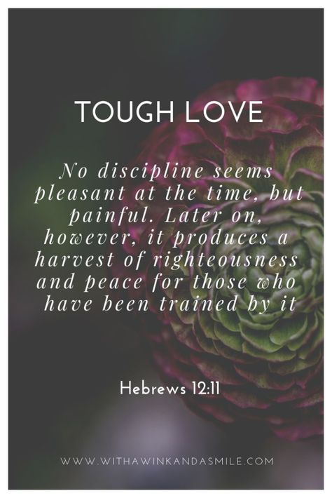 tough love, strong willed child, hebrews 12:11 Tough Love Parenting, Enabling Quotes, Tough Love Quotes, Hebrews 12 11, Parenting Adult Children, Strong Willed Child, Love Parents, Parenting Done Right, Parenting Videos