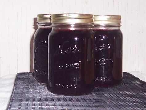 Dewberries grow wild in my part of the country.  They are very similar to blackberries, but larger and sweeter.  This is the my DHs favorite jelly.  You can use this same recipe using blackberries or boysenberries.  The times listed in the recipe DO NOT INCLUDE the straining time. Dewberry Jelly Recipe, Dewberry Recipes, Jelly Food, Canning Granny, Canning Food, Jelly Recipe, Jam And Jelly, Jelly Recipes, Home Canning