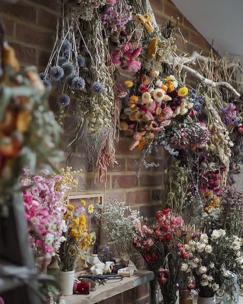 Bex Partridge - Floral Artist on Instagram: “I’ve had some questions recently about what I’m growing this year and when seeds for dried flowers can be started off. Friends, Let me…” Restaurant Flowers, Flower Studio, Some Questions, Deco Floral, Spring Home Decor, Dried Flower Arrangements, Partridge, Flower Farm, Spring Home