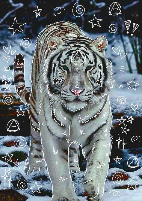 Therian Pictures, Art Cute Easy, Tiger Therian, Tiger Profile, Therian Art, Therian Pfp, Snow Tiger, Therian Stuff, Tiger Mask