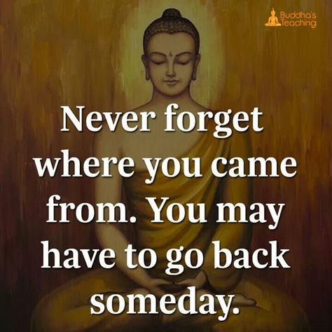 Forget The Past Quotes, Buddha Sayings, The Past Quotes, Buddha's Quotes, Quotes By Buddha, Buddha Teaching, Buddha Quotes Peace, Buddism Quotes, Joseph Parker