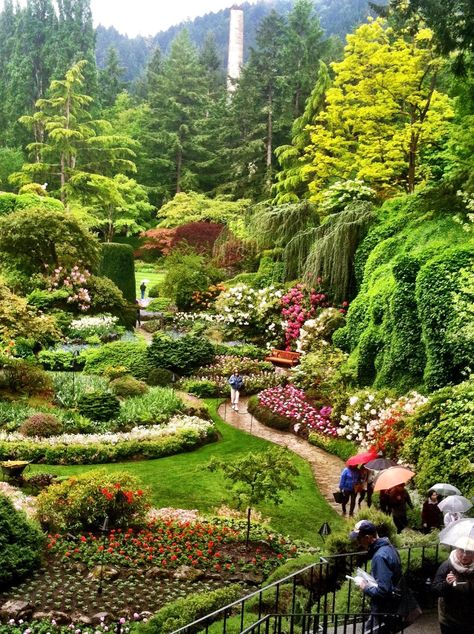 Butchart Gardens, Victoria Island, Canada Buchart Gardens, Victoria Canada, Victoria Island, Butchart Gardens, Meteor Garden 2018, Magic Garden, Kew Gardens, Olive Garden, Gorgeous Gardens