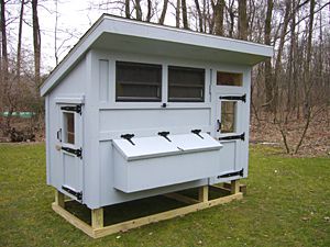 Chicken Coop House 8 Chicken Coop, Simple Chicken Coop Plans, Free Chicken Coop Plans, Free Chicken Coop, Chicken Coop Plans Free, Cheap Chicken Coops, Urban Chicken Farming, Mobile Chicken Coop, Easy Chicken Coop