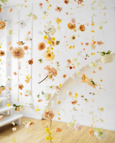 Flower Backdrop Photoshoot, Flower Curtain Backdrop, Nikah Decor, Coffee Cup Art, Flower Curtain, Sparkly Wedding, Floating Flowers, Minimalist Flowers, Hanging Flower Wall