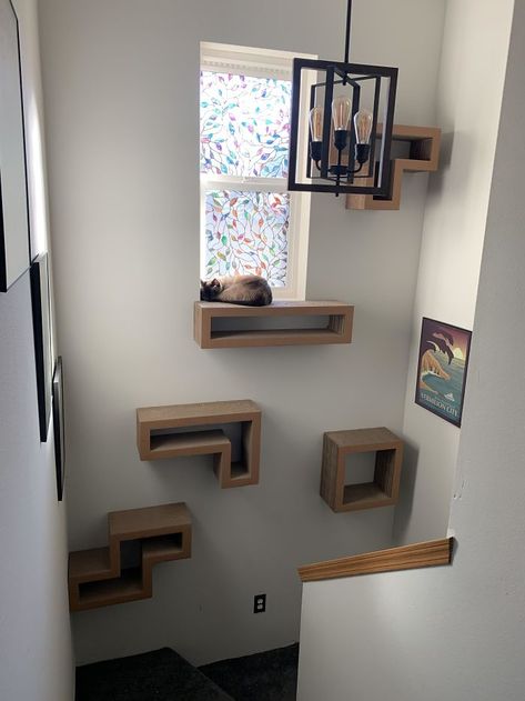 Making A Bed Frame, Floating Cat Shelves, Katt Diy, Chat Sphynx, Cat Climber, Cat Towers, Cat Playground, Cat Shelves, Dog Furniture