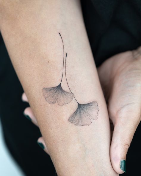 Ginko leaves 🍃 Thank you Ruth for your trust 🤍 #londontattoo #londontattooartist #tattooartistlondon #botanicaltattoo #botanicaltattoolondon #floraltattoo #floraltattoolondon #ginkoleaves #ginkoleavestattoo #ginkotattoo #leavestattoo #leaftattoo Gingko Branch Tattoo, Ginkgo Tattoo Minimal, Ginko Leaf Tattoo Minimalist, Ginko Branch Tattoos, Ginko Leaf Tattoos Design, Ginko Leaves Tattoos, Leave Tattoo, Ginko Leave, Ginko Leaves