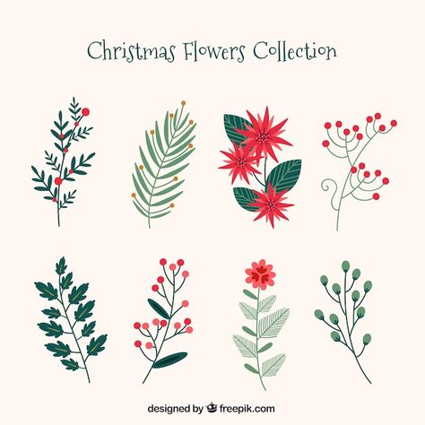 Christmas Leaves, Flower Christmas, Christmas Plants, Illustration Noel, Christmas Doodles, Navidad Christmas, Christmas Flowers, Christmas Drawing, Flower Doodles