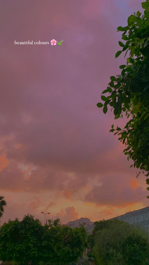 aesthetic pink sky green trees wallpaper sunset clouds sun instagram story idea Pink Sky Instagram Story, Sun Instagram Story, Green Trees Wallpaper, Pink Story, Tree Story, Wallpaper Sunset, Trees Wallpaper, Instagram Story Idea, Sky Green