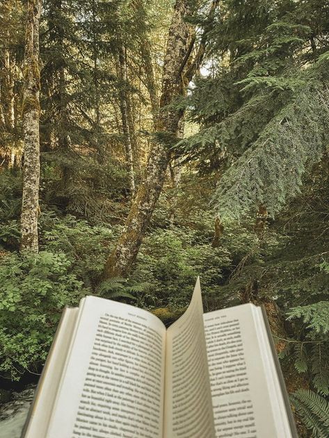 Forest Reading Aesthetic, Reading In The Forest Aesthetic, Nature And Books Aesthetic, Reading With A View, Reading In A Garden, Cottagecore Reading Aesthetic, Reading Aesthetic Outside, Reading In Nature Aesthetic, Calming Nature Aesthetic