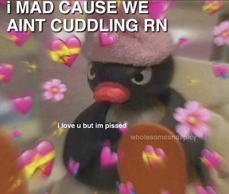 Cuddling Meme, Cuddle Pictures, Cat Tweets, I Miss My Boyfriend, Flirty Memes, I Want To Cuddle, Couple Memes, Relatable Crush Posts, Boyfriend Memes