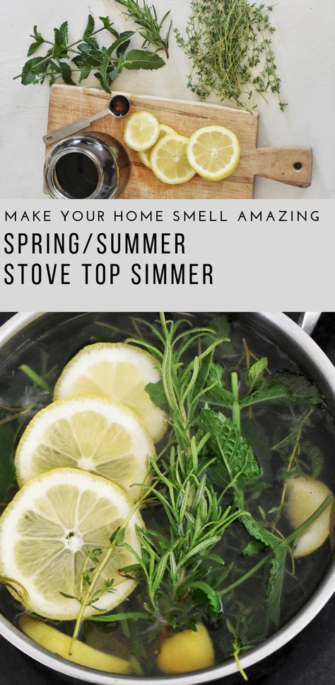 Simmer Potpourri, Stovetop Simmer, Simmer Pot Recipes, Stove Top Potpourri, Simmering Potpourri, Houses Bedroom, Potpourri Recipes, Simmer Pot, House Smell Good