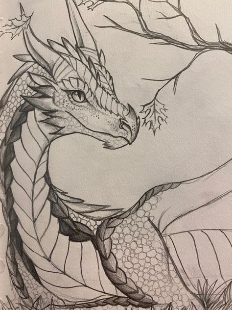 Dragon Ideas Drawing, Dragons To Draw, Cool Dragons Drawings, Sketches Of Dragons, Werewolf Drawings, Cool Sketch Ideas Dragon, Aesthetic Dragon Drawing, Dragon Drawings Realistic, Mythical Sketches