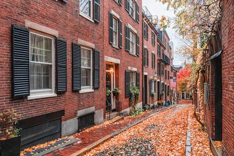 31 Fun Things To Do In Boston In The Fall (2024) - New England Wanderlust Boston Ideas Things To Do In, Boston Things To Do Fall, Boston Fall Aesthetic, Fall In Boston, Boston In The Fall, Boston Fall, Day Trips From Boston, Boston Public Market, Boston Aesthetic