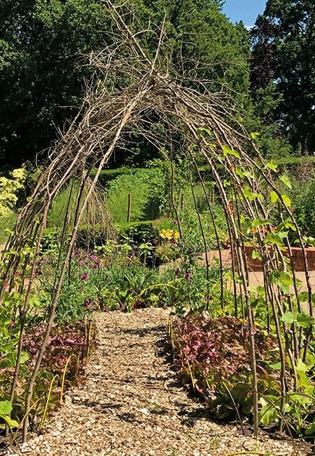 Creative Garden Projects, Climbing Beans, Bean Teepee, Bean Trellis, Garden Dividers, Willow Garden, Garden Obelisk, Garden Pavilion, Garden Arches