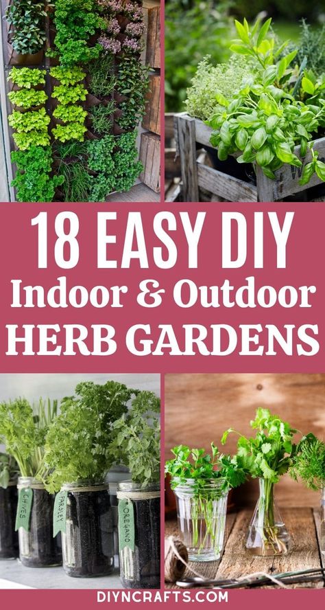 WOW! This list of fun and super easy DIY herb gardens is just what you need! Indoor and outdoor versions make it easy for anyone to grow herbs at home! #HerbGarden #Gardening #Garden #FreshHerbs #BackyardGarden Veg Gardens, Growing Herbs At Home, Bottle Planters, Indoor Herb Garden Diy, Standing Garden, Herb Garden Wall, Diy Container, Gardening Food, Homesteading Tips