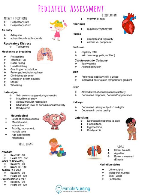 Pediatric Respiratory Disorders Nursing, Respiratory Assessment Nursing, Pediatrician Aesthetic Notes, Ob/peds Nursing School, Pediatric Advanced Life Support Study, Peds Er Nurse, Pediatric Assessment Cheat Sheet, Pediatric Study Notes, Nursing School Pediatric Notes