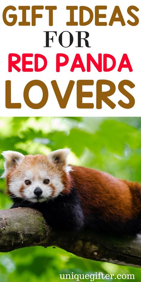 What to Buy Someone Who Loves Red Pandas | Red Panda Lovers | Creative Gifts For Red Panda Lovers | Special Presents for Someone Who Loves Red Pandas | Unique Gifts For Red Panda Lovers | #redpanda #animallover #gifts Red Panda Party Ideas, Red Panda Birthday Party, Red Panda Party, Special Presents, Panda Craft, Tufting Ideas, 5 Birthday, Panda Birthday, Panda Party