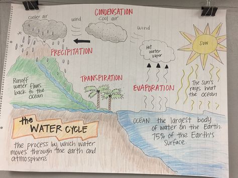 The Water Cycle Anchor Chart Science Anchor Charts 5th Grade, Water Cycle Anchor Chart, Water Cycle Project, Best Healthy Snacks, Science Anchor Charts, The Water Cycle, Snacks For Kids, 4th Grade Science, 5th Grade Science