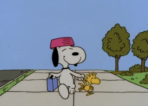 Snoopy Reaction Pics, Woodstock And Snoopy, Woodstock Snoopy, Baby Snoopy, Snoopy Funny, Snoopy Images, Snoopy Wallpaper, Snoopy Pictures, Snoop Dog