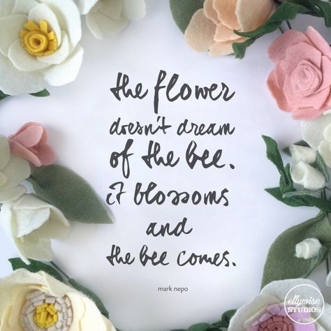 The flower doesn't dream of the bee. It blossoms and the bee comes. Mark Nepo inspirational quote flowers Ellywise Studios felt flowers memphis wedding Zucchini Flowers, Memphis Wedding, Everyday Quotes, Save The Bees, The Bee, Felt Flowers, Pretty Words, Inspirational Quote, Healthy Relationships