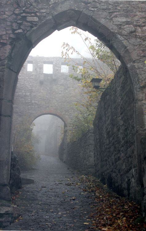 https://flic.kr/p/yZdYRG | Baden Baden / Altes Schloss 013 Meena's Tirith, Medieval Aesthetic, Fantasy Aesthetic, Fantasy Warrior, 판타지 아트, Medieval Fantasy, Fantasy Landscape, Abandoned Places, Middle Ages