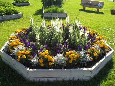 Annual Flower Beds Design, Annual Flower Beds, Flower Garden Layouts, Garden Front Of House, Small Flower Gardens, Flower Garden Plans, Raised Flower Beds, Flower Bed Designs, Garden Flower Beds