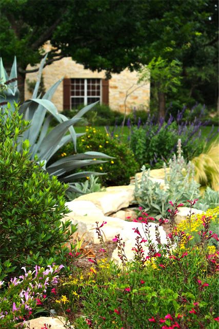 Texas Hill Country Landscaping Native Plants, Texas Gardens, Texas Landscaping, Xeriscape Landscaping, Pool Plants, Texas Plants, Texas Native Plants, Texas Garden, Yard Makeover