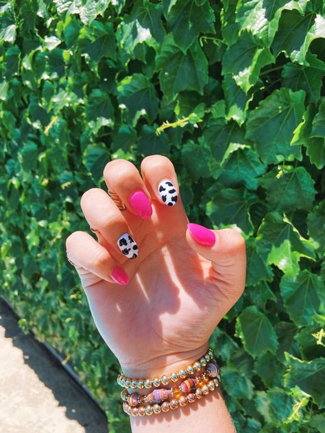 Neon Pink Cow Print Nails, Short Almond Cow Print Nails, Preppy Summer Nails Almond, Hot Pink And Cow Print Nails, Pink And Black Cow Print Nails, Pink Cowprint Nails Acrylic, Nail Inspo Cow Print, Almond Cow Print Nails, Pink And Cow Print Nails