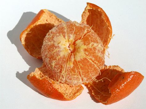 Orange Peal, Weird Photography, Fruit Peel, Event Poster Design, Fruit Photography, It Goes On, Fruit And Veg, Orange Peel, Natural Forms