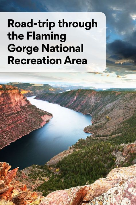 Follow scenic byways in southwestern Wyoming and northwestern Utah for colorful canyons, volcanic rock formations, and wandering wildlife. Flaming Gorge National Recreation Area, Flaming Gorge, Drivers Education, Rock Springs, Sierra Nevada Mountains, Passport Photo, Volcanic Rock, Scenic Byway, Drive Through