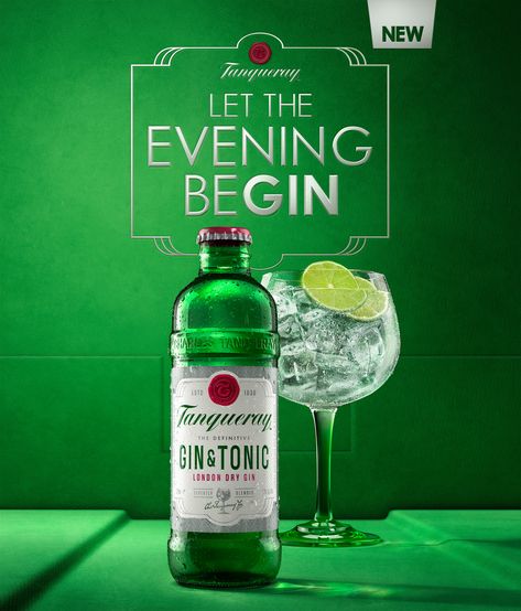 Tanqueray G&T CGI Whiskey Ads, Gin And Tonic Recipe, Alcohol Ads, Tanqueray Gin, Tonic Recipe, Gin Brands, Drink Poster, Gin Tasting, Free Psd Flyer Templates