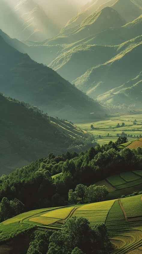 Mountains with field landscape outdoors nature. | premium image by rawpixel.com Rolling Hills Landscape, Agriculture Background, Hills Landscape, Field Landscape, Environmental Conservation, Pretty Landscapes, Nature Green, Rolling Hills, Wizard Of Oz