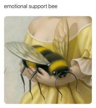 Bee Art, Arte Inspo, Emotional Support, Art Inspo, Cute Drawings, Cute Art, Funny Animals, Art Reference, Cool Art