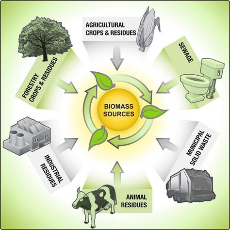 Biomass-Renewable energy sources Types Of Renewable Energy, Energy Ideas, Biomass Energy, Renewable Energy Resources, Solar Energy Diy, Renewable Sources, Energy Resources, Renewable Sources Of Energy, Energy Projects