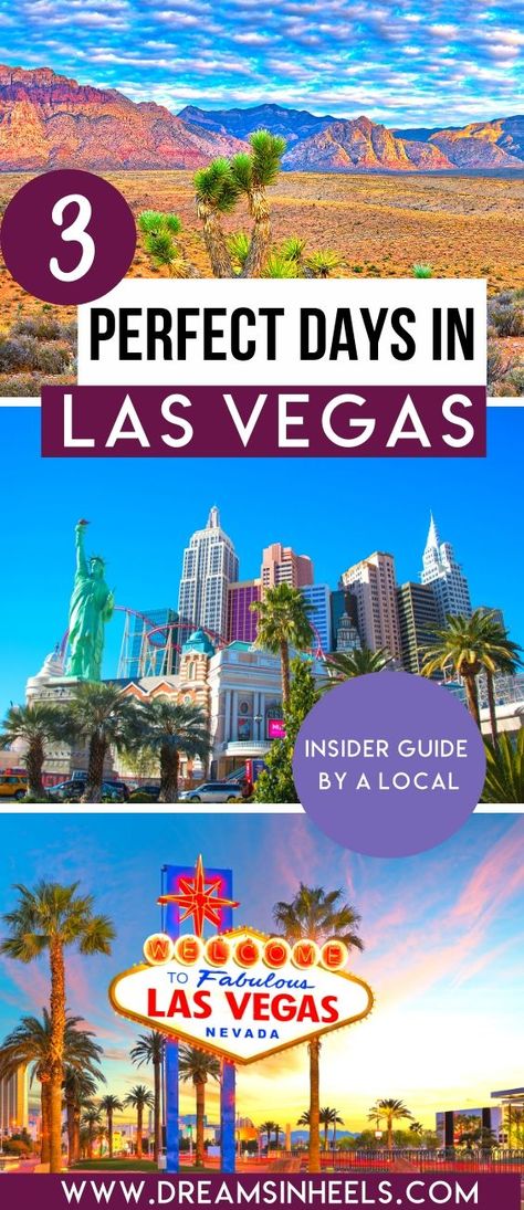 Cheap Vegas Trip, Las Vegas On A Budget, Vegas On A Budget, Living In Las Vegas, Vegas Trip Planning, Las Vegas Itinerary, Las Vegas Travel Guide, Trip To Vegas, Las Vegas Vacation