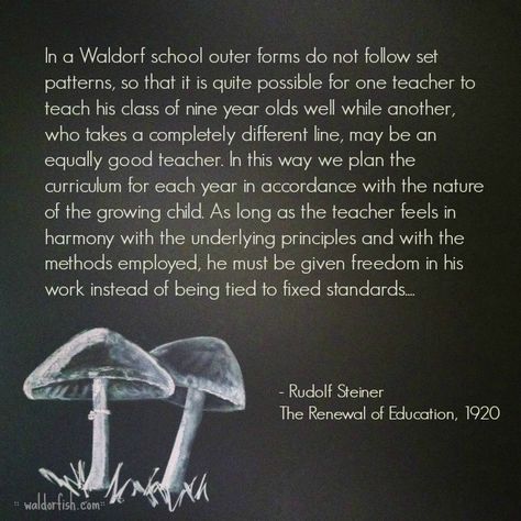 Waldorf quotes | Steiner quotes | Waldorf education | Waldorfish Steiner Quotes, Steiner Waldorf Education, Waldorf Preschool, Steiner Waldorf, Middle School Writing, Waldorf School, Waldorf Education, Homeschool Inspiration, Rudolf Steiner